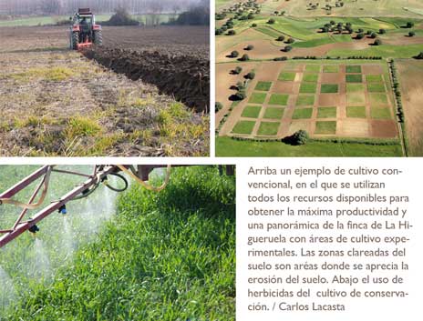 montaje fotos higueruela