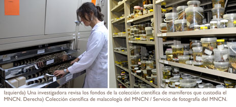 Montaje de imágenes de colecciones