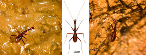 Sunbin Huang and Mingyi