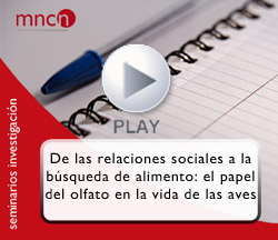 Seminario MNCN