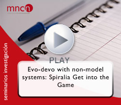 Seminario Cristina Grande Seminario Cristina Grande