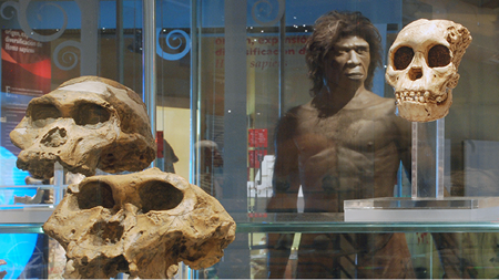 Exposiciones