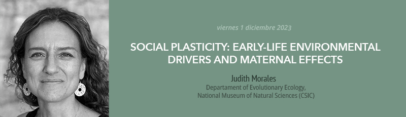 Seminario de investigación 1 diciembre 2023 - Judith Morales