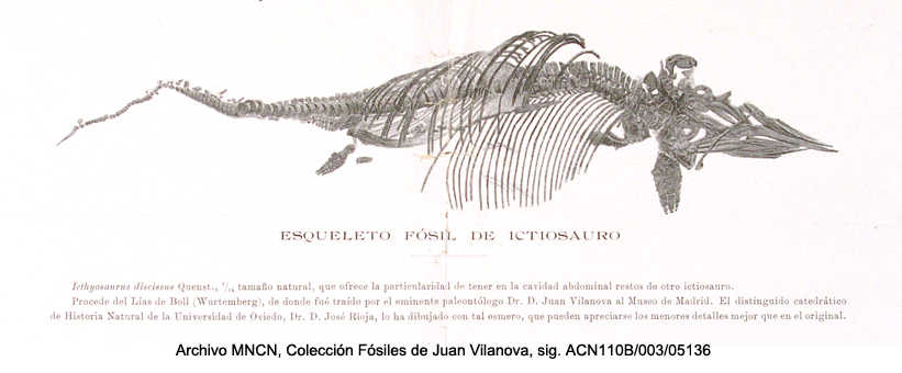 ictiosaurio Rioja