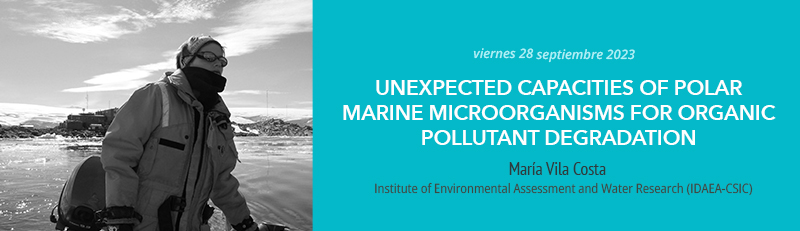 Baner del seminario de investigación que tuvo lugar el 28 de septiembre 2023 impartido por María Vila Costa