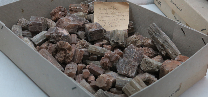 Aragonitos colectados en Guadalajara en 1933 en una excursiión. Image: Pepe Pera