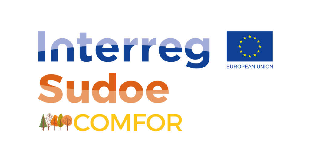 logo comfor sudoe