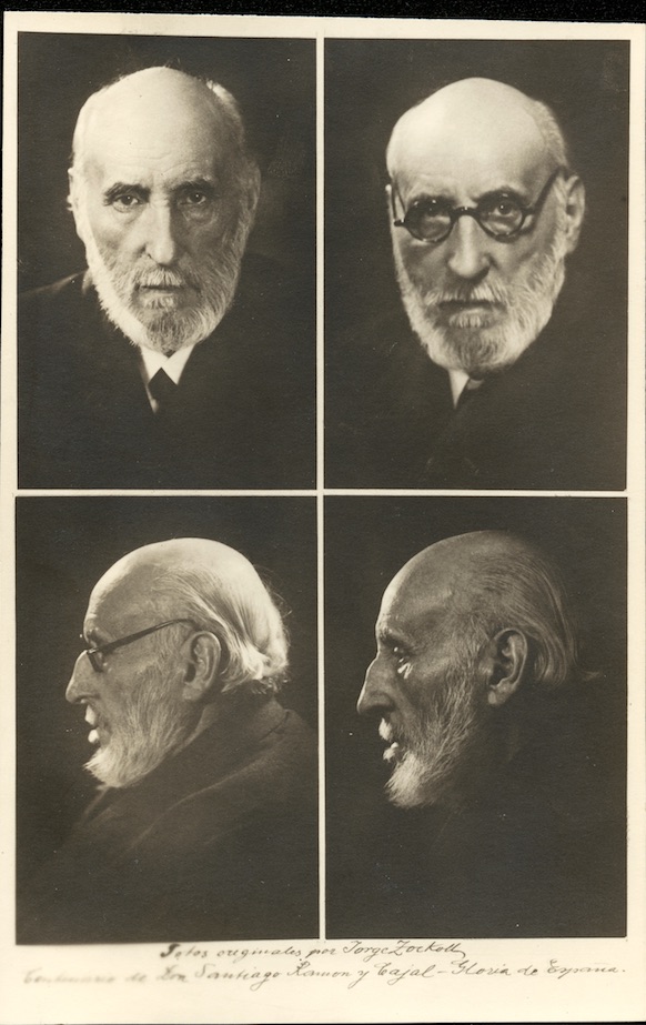 Santiago Ramón y Cajal por Jorge Zockoll. Museo Nacional de Ciencias Naturales (CSIC)