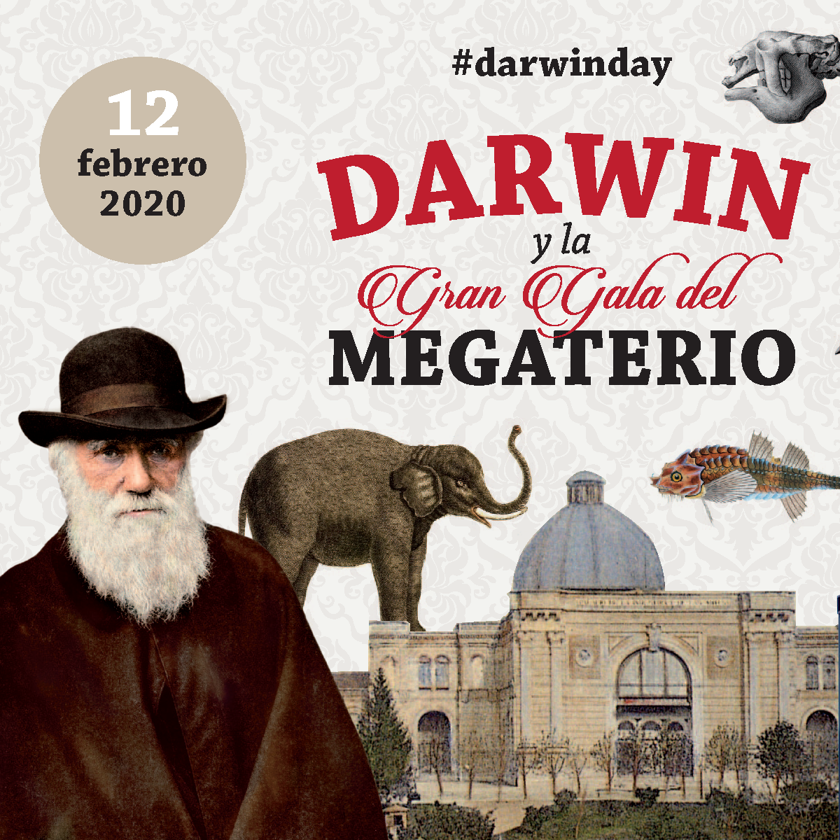 Cartel de la Noche de Darwin y Wallace 2020