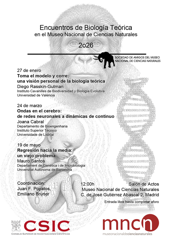 ciclo
