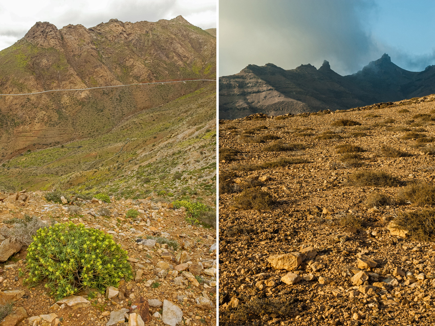 Laderas de Fuerteventura / Luis María Carrascal