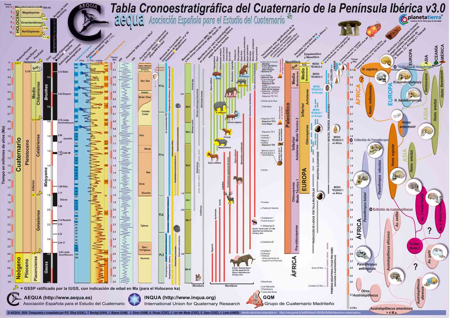 Chart Quaternary