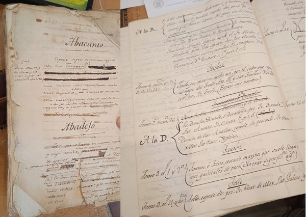 manuscritos