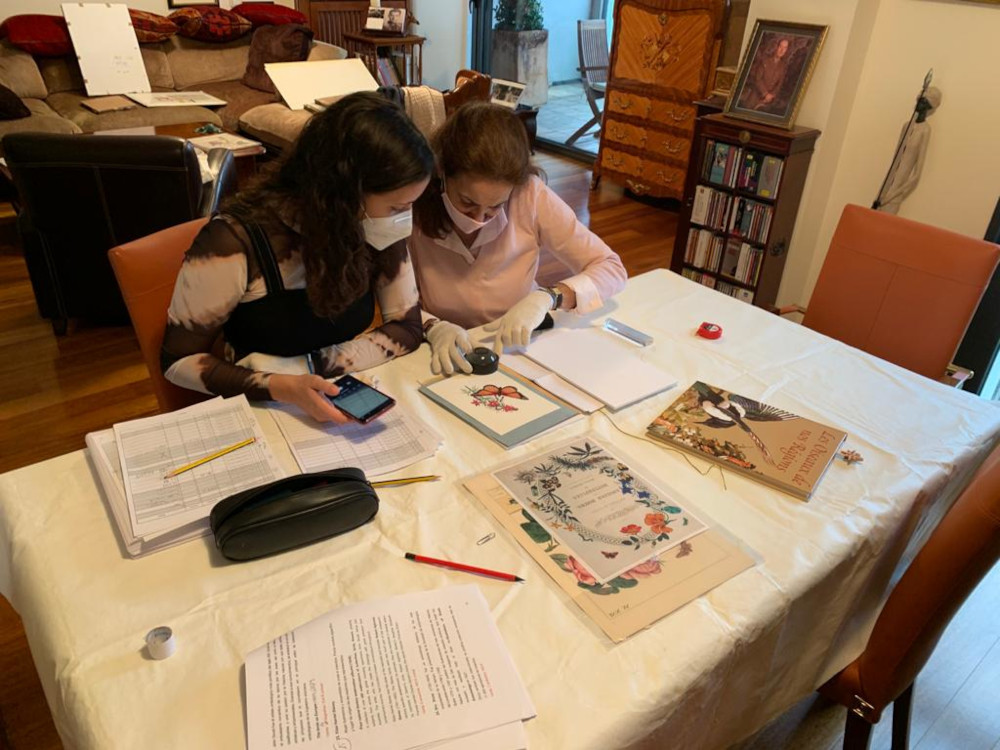 colección joaquin carrasco