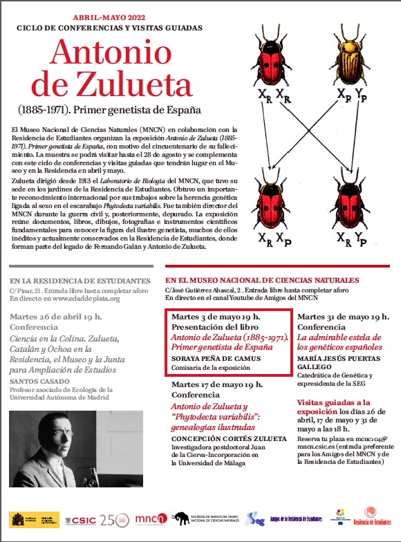 zulueta libro
