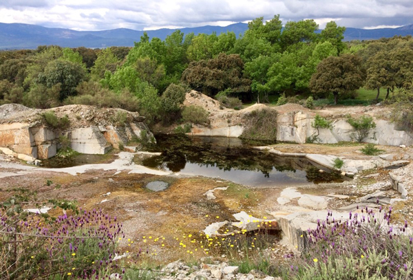 Una de las charcas estudiadas, al pie de la Sierra de Guadarrama. / Íñigo Martínez-Solano