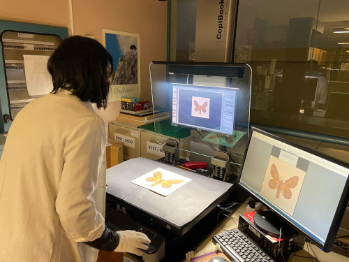 Digitalizando archivo