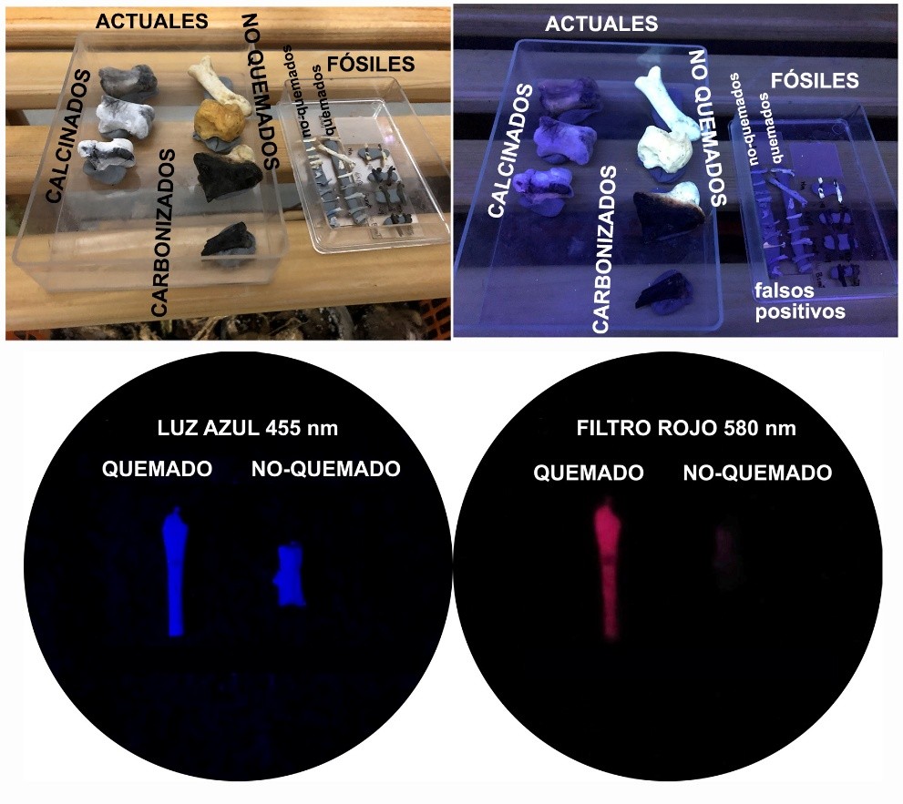 Muestras fuego luminiscente 