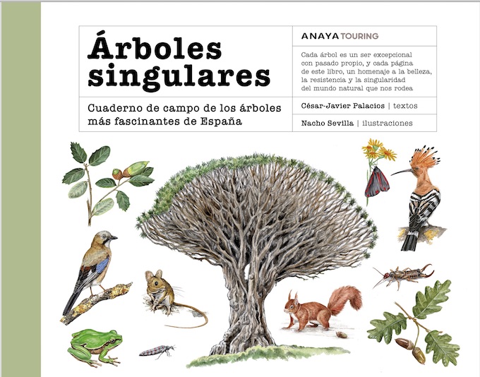 Libro