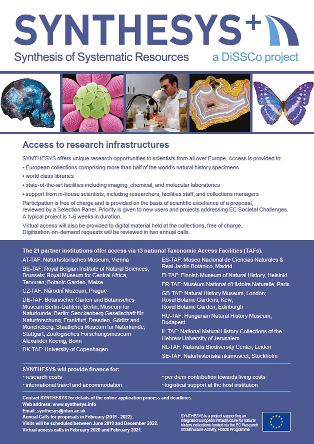 Programa SYNTHESYS