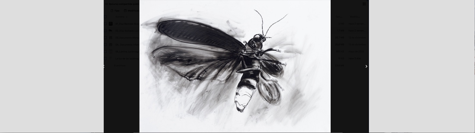  Dibujo de luciérnaga (2023), cortesía de María Ángeles Díaz Barbado. 