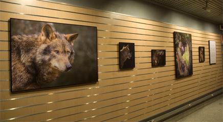 vista de la exposición