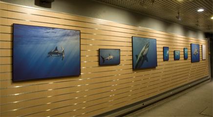 vista de la exposición