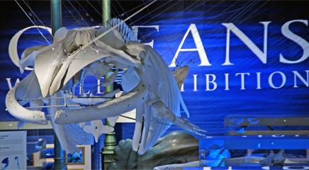 vista de la exposición