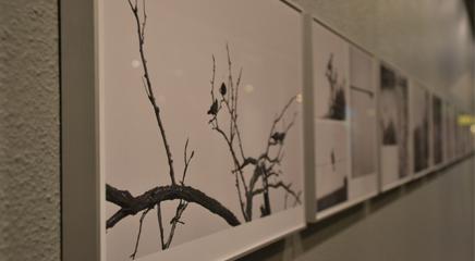 vista de la exposición