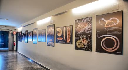 vista de la exposición