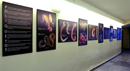 vista de la exposición