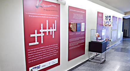 vista de la exposición