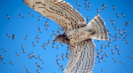 vista de la exposición