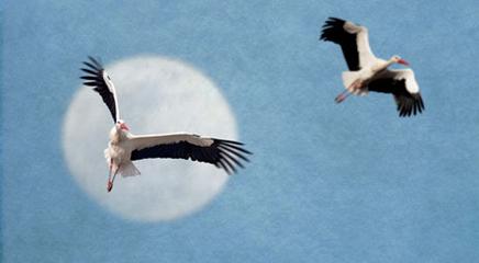 vista de la exposición