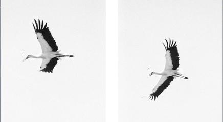 vista de la exposición