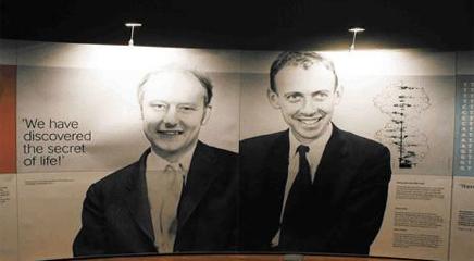 vista de la exposición