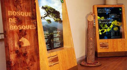 vista de la exposición