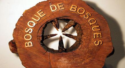 vista de la exposición