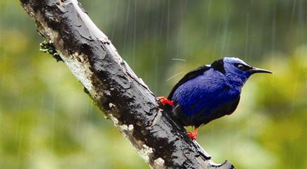 vista de la exposición