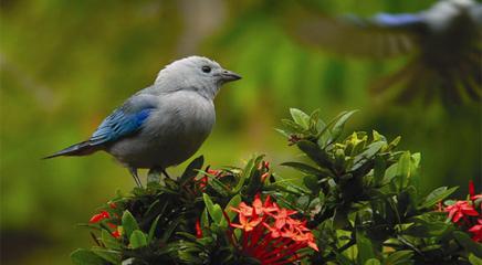 vista de la exposición