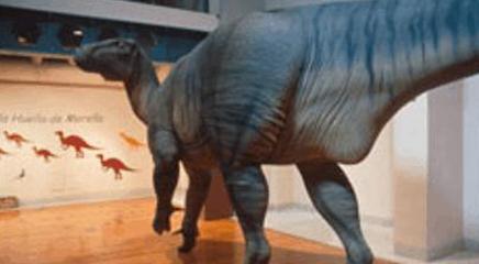 vista de la exposición