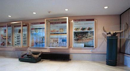 vista de la exposición