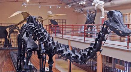 vista de la exposición