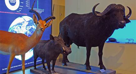 vista de la exposición