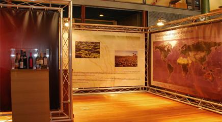 vista de la exposición