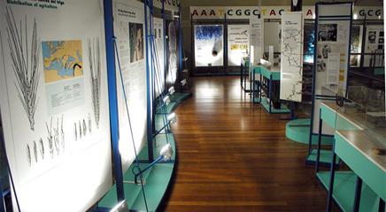 vista de la exposición