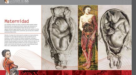 vista de la exposición