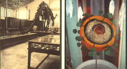 vista de la exposición