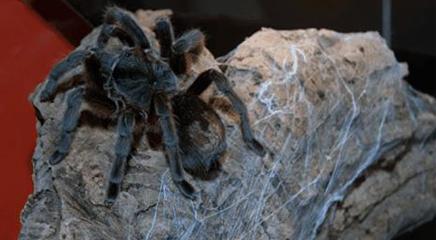 vista de la exposición