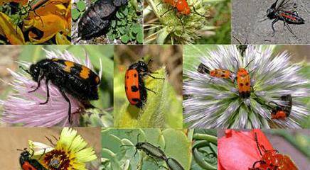 vista de la exposición